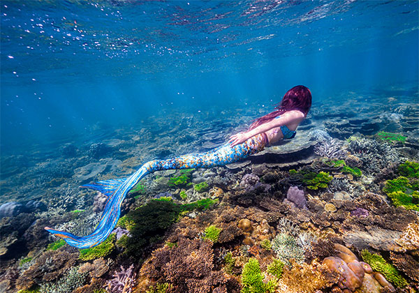 沙巴 海外美人鱼课程 + 水底摄影