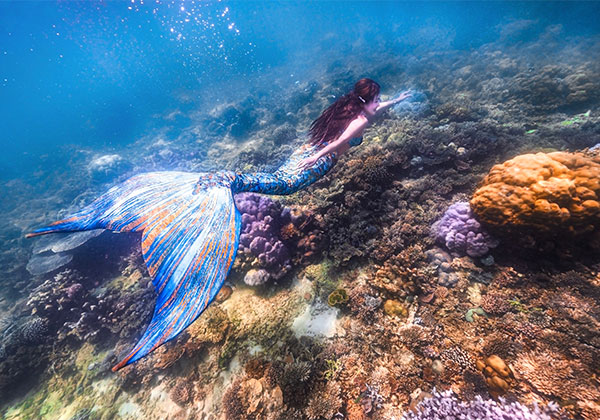 海底宮殿 - 美人魚課程平台: 不論什麼地方，只要你愛它，它便是你的世界。 